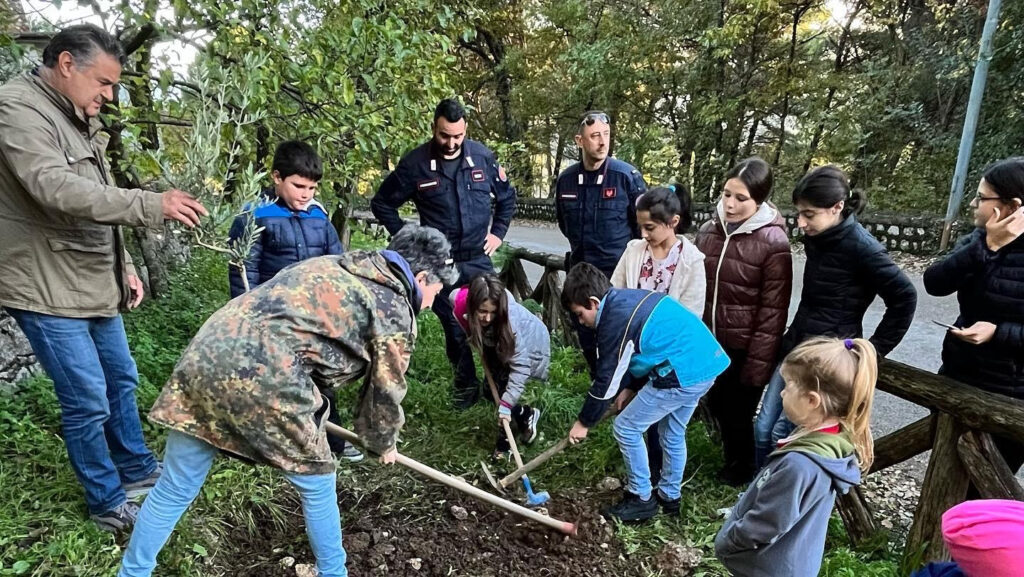 L’albero del giudice Giovanni Falcone arriva nel borgo di Tortorella