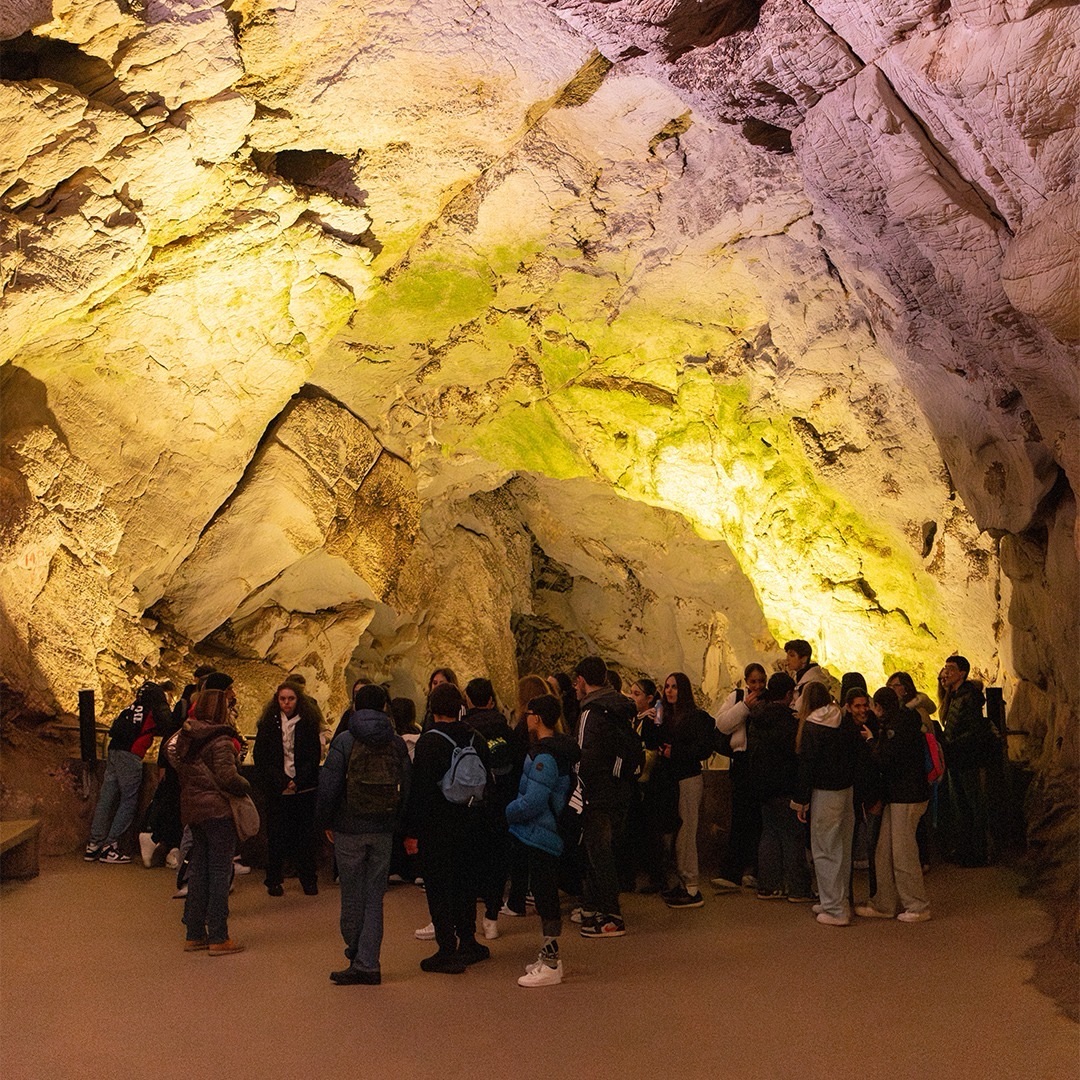 Grotte di Pertosa-Auletta, chiude la stagione delle gite scolastiche: migliaia di studenti tra natura e scoperta