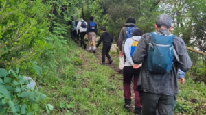 A San Mauro Cilento torna il Trekking dei fiori gentili e sapori del Cilento