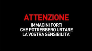Cane morto legato a una catena sotto il sole a Roccadaspide. Verifiche su una presunta segnalazione precedente