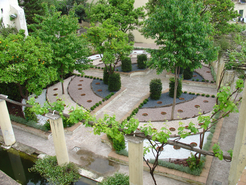Oltre il mito della “coscienza botanica”: Marco Ferrari al Giardino della Minerva di Salerno