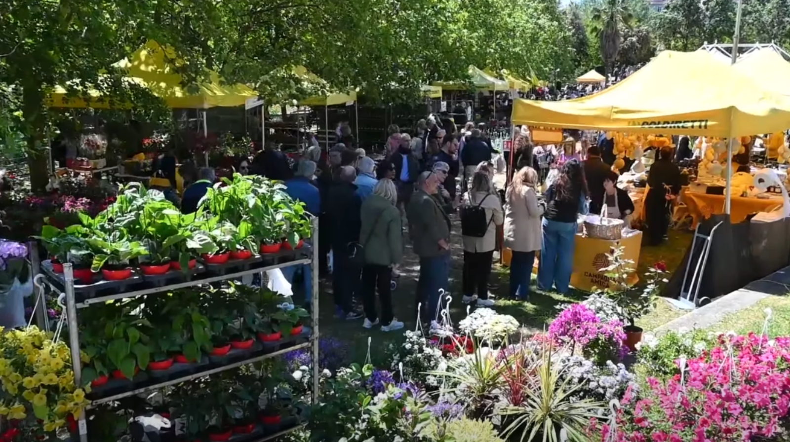 Salerno in Flora, numeri da record: oltre quarantamila presenze al Villaggio Coldiretti