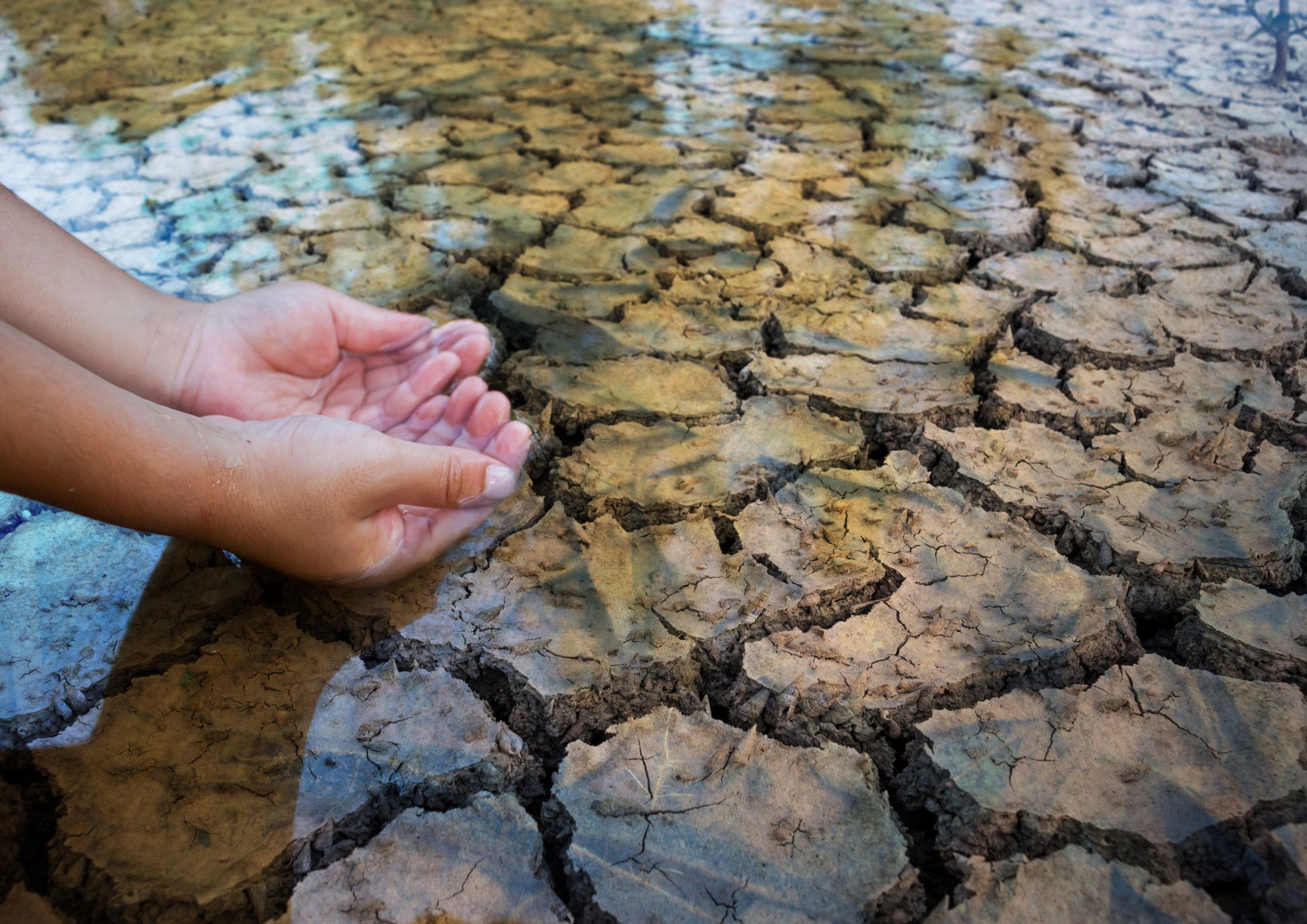 Inizio estate e ambiente sotto pressione: fiumi più fragili e Mediterraneo sempre più esposto alla siccità