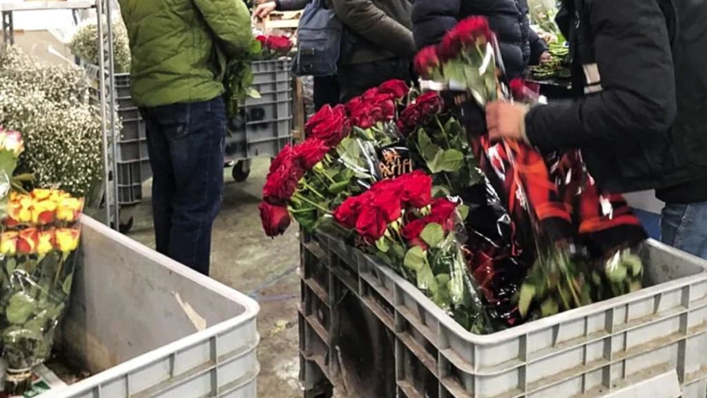 Eboli, controlli rafforzati contro la vendita abusiva di fiori per la festa della mamma