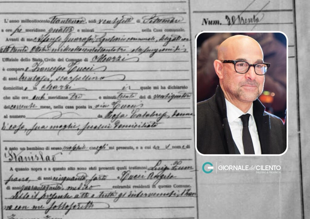 Stanley Tucci, riemerge l’atto di nascita del nonno: il legame con la Calabria ricostruito dal Museo del Cognome