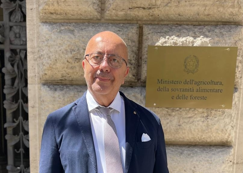 Olio italiano, AIFO al Masaf: «Servono controlli, sostegno alle imprese e più promozione»
