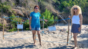 Montecorice, scoperto un secondo nido di Caretta caretta sulla spiaggia di Baia Arena