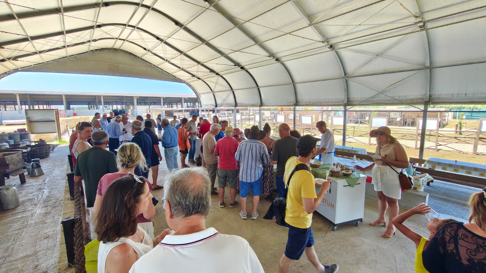Storia, cultura e mozzarella: centinaia di visitatori per il Manupressum e il Museo della bufala