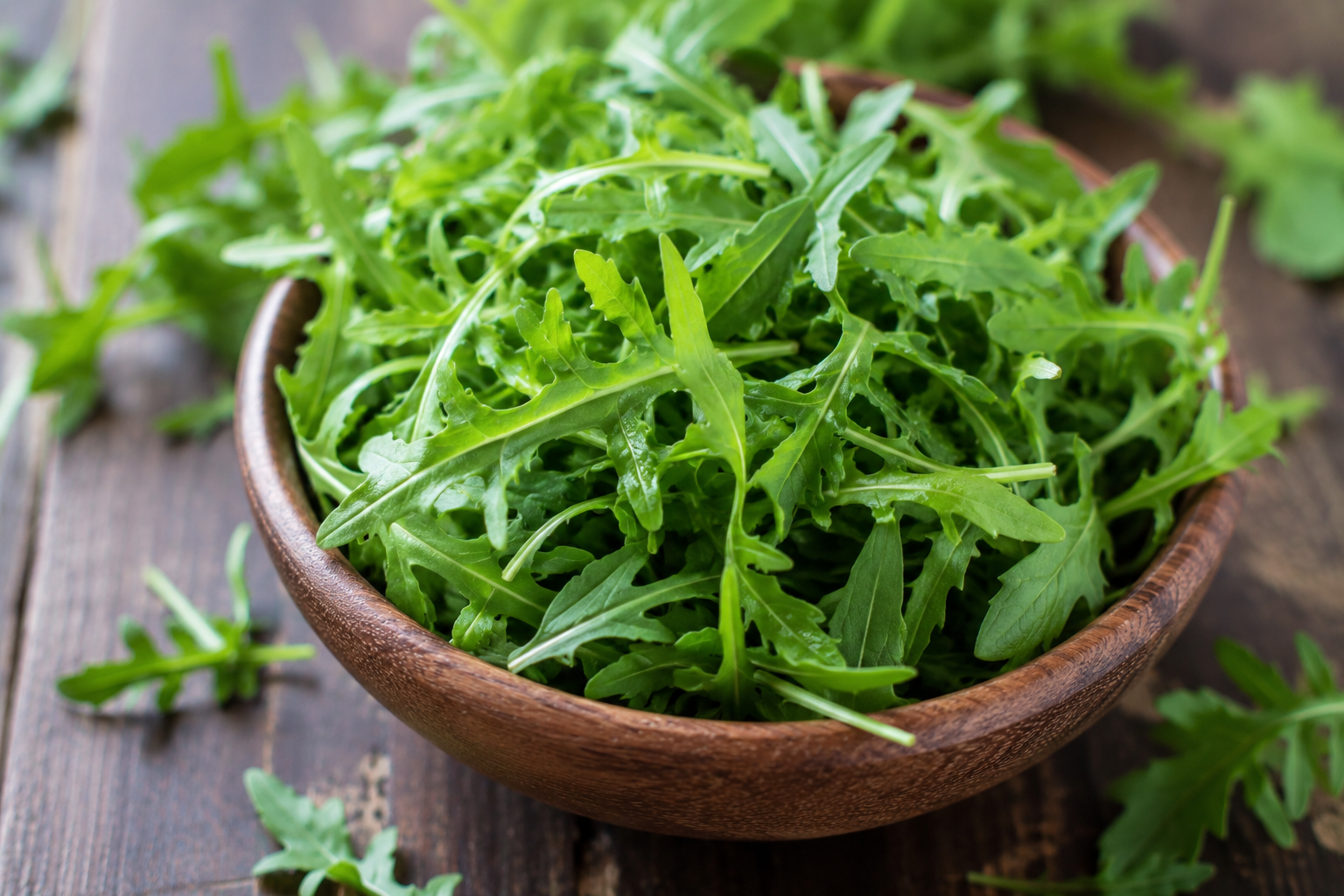 Rucola, la ricerca italiana: una molecola naturale mostra effetti positivi sul metabolismo