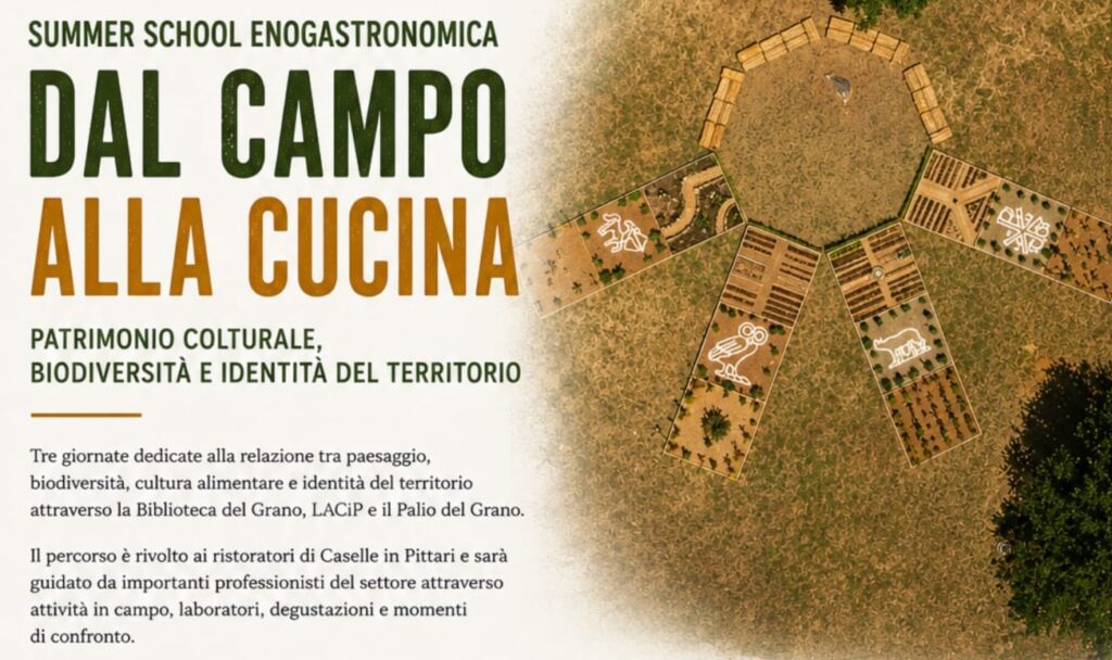 Caselle in Pittari: al via la summer school enogastronomica “Dal campo alla cucina”