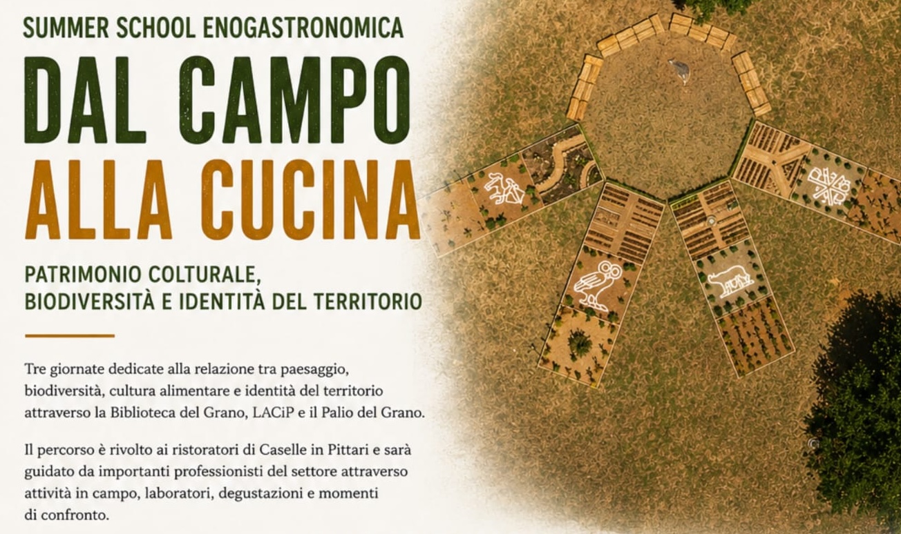 Caselle in Pittari: al via la summer school enogastronomica “Dal campo alla cucina”