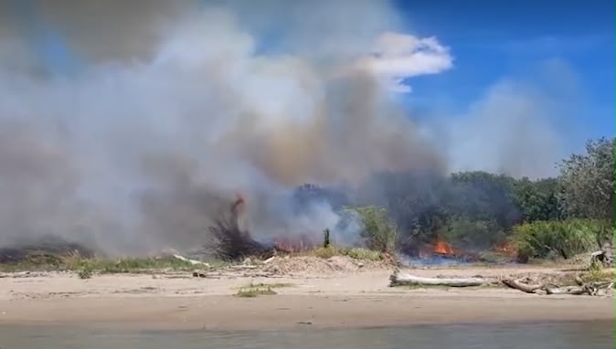 Pineta tra Capaccio ed Eboli, l’appello di Anpana: «Subito riforestazione e maggiori controlli»