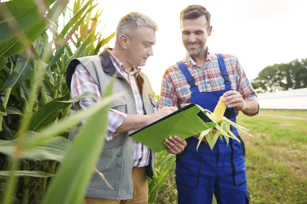 Agroalimentare, nuova legge contro frodi e contraffazioni: più controlli e tracciabilità