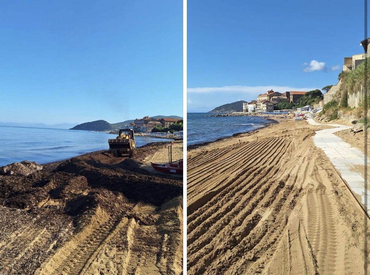 Castellabate, interventi su posidonia spiaggiata sulla spiaggia del Pozzillo