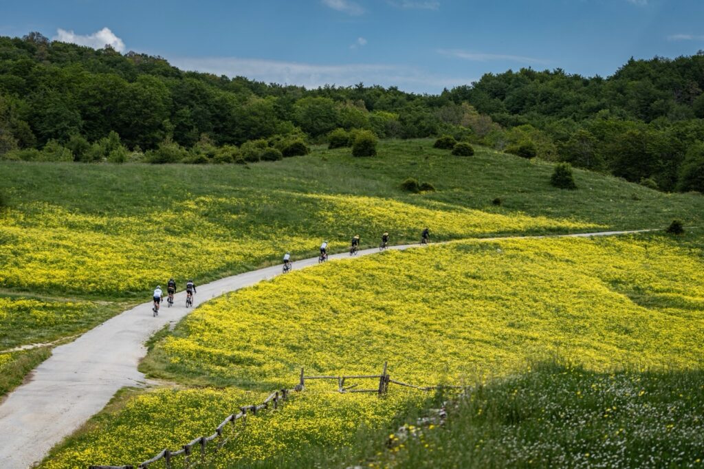 Alburni Bike Marathon, il 21 giugno torna la grande sfida tra natura, sport e borghi storici Alburni Bike Marathon, il 21 giugno torna la grande sfida tra natura, sport e borghi storici