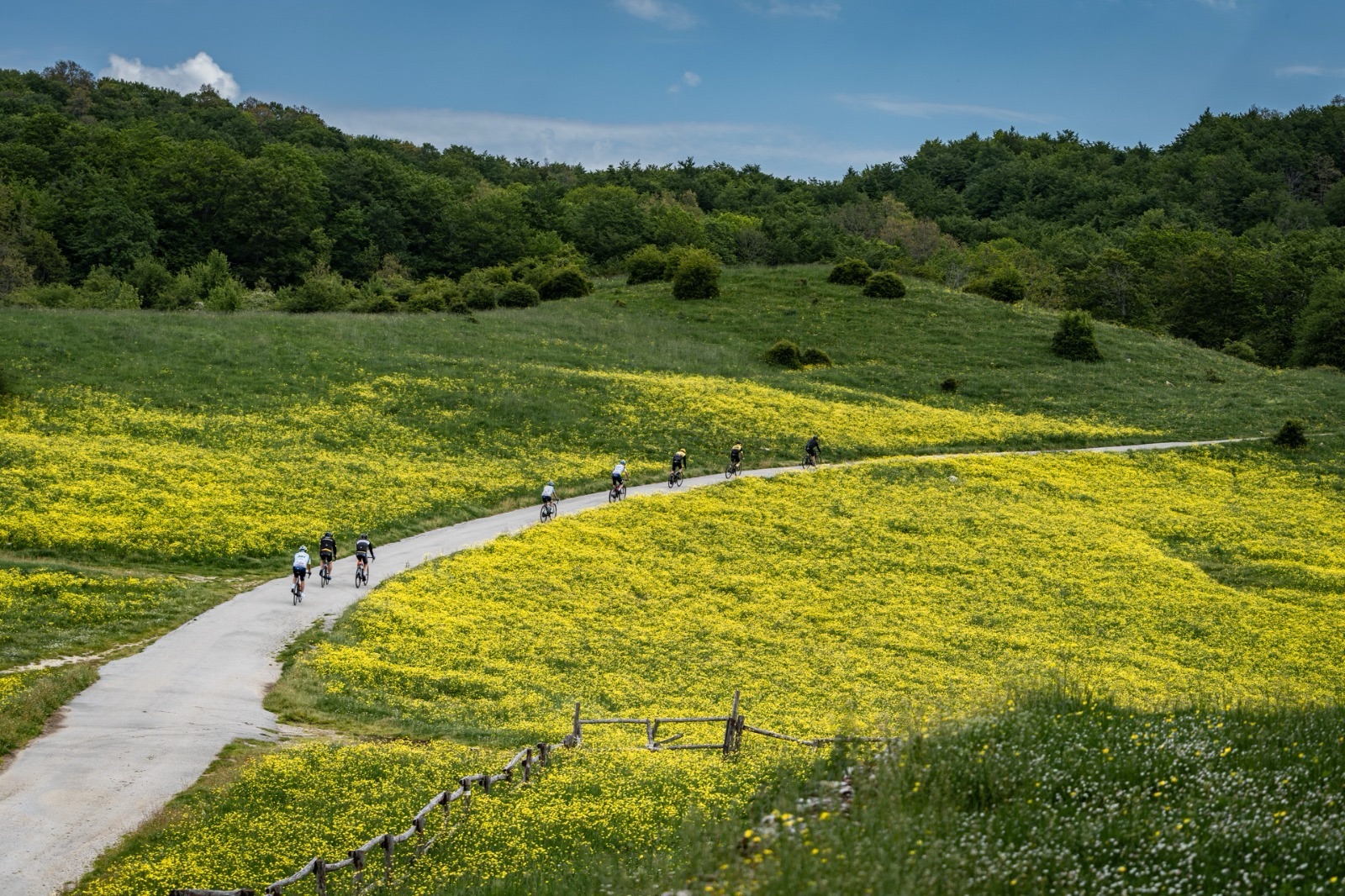 Alburni Bike Marathon, il 21 giugno torna la grande sfida tra natura, sport e borghi storici