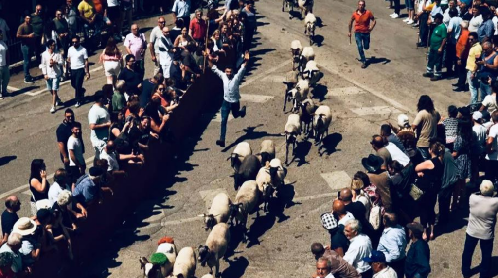 La Turniata di San Vito a San Gregorio Magno: il rito millenario della benedizione delle greggi