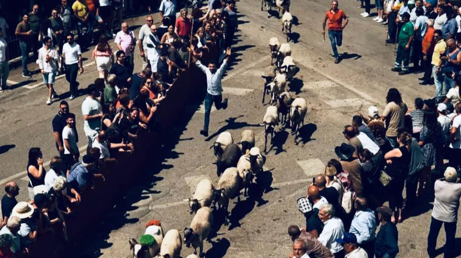 La Turniata di San Vito a San Gregorio Magno: il rito millenario della benedizione delle greggi