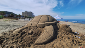 Oggi è la Giornata mondiale delle tartarughe marine, inaugurata ad Acciaroli la grande scultura di sabbia