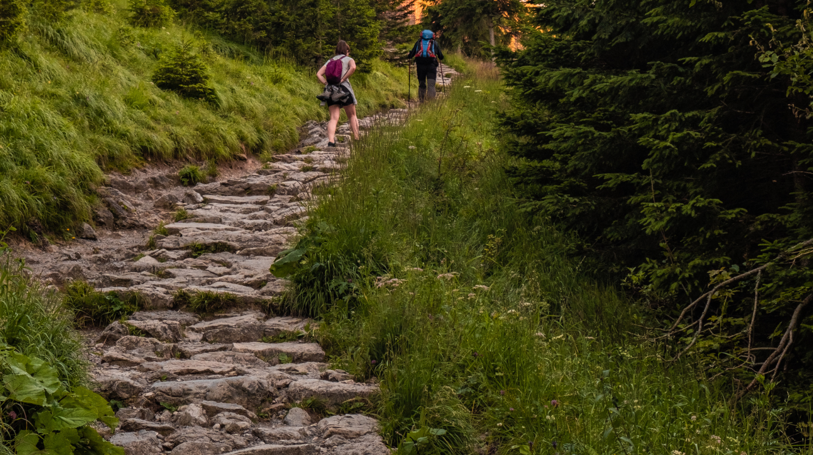 Dalla città ai sentieri: perché il trekking è l’attività ideale in primavera ed estate
