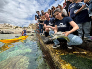 Salvate dalla plastica, dalle reti e dagli ami: nove tartarughe tornano in mare il 14 giugno