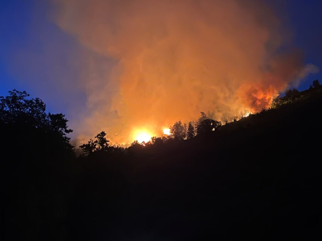 Incendio nella notte sulle colline di Laurito: in fiamme la macchia mediterranea del Parco del Cilento