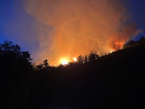 Incendio nella notte sulle colline di Laurito: in fiamme la macchia mediterranea del Parco del Cilento