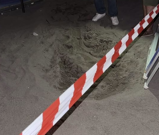 Caretta caretta: trovato un nido sulla spiaggia di Marina di Vietri sul Mare, uova messe in sicurezza