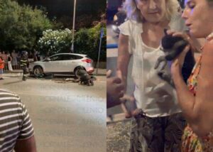 Ascea Marina, gattino resta incastrato sotto un’auto: salvato dai vigili del Fuoco