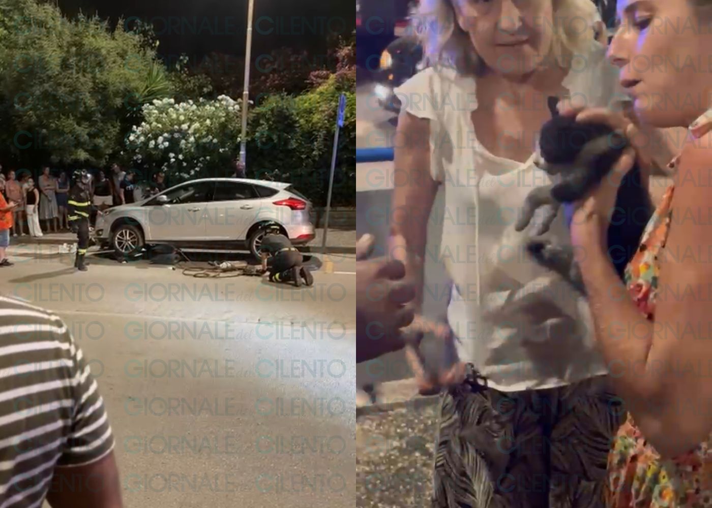 Ascea Marina, gattino resta incastrato sotto un’auto: salvato dai vigili del Fuoco