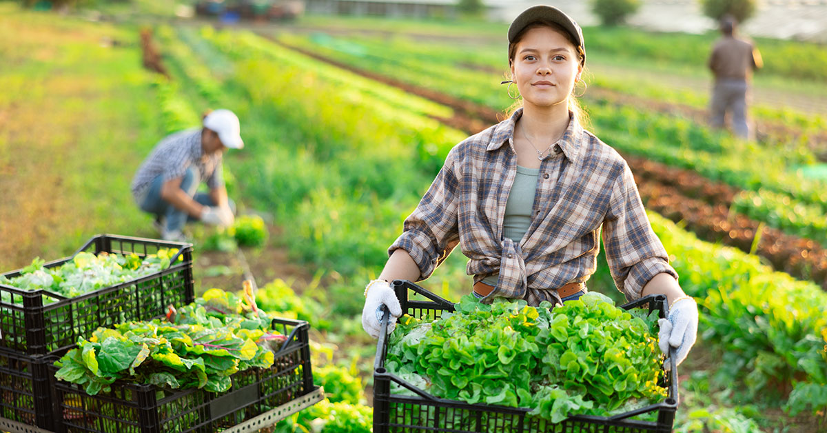 Agricoltura, dalla Regione Campania 31,4 milioni per giovani agricoltori e fattorie didattiche: aperti i nuovi bandi