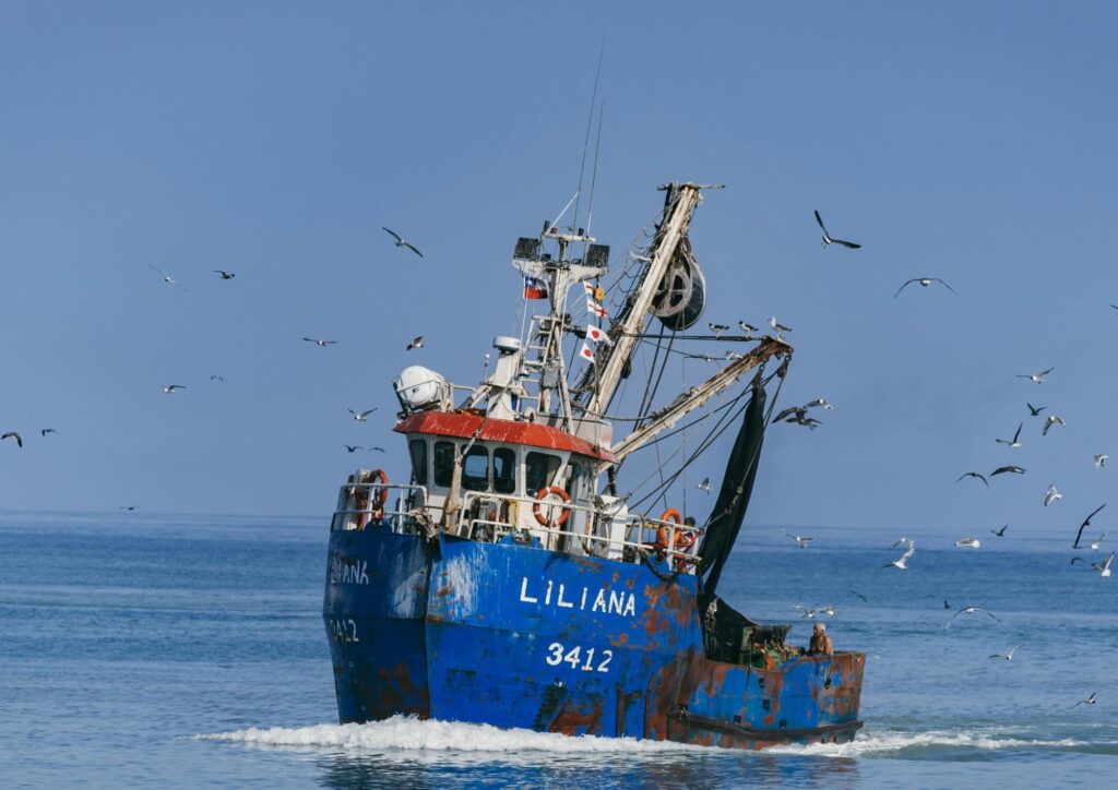 Filiera ittica sostenibile: la Giunta regionale approva il disegno di legge per la riduzione del polistirene