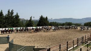 A San Rufo lo special event “Erbanito”: tre giorni tra mondo western e spettacoli equestri