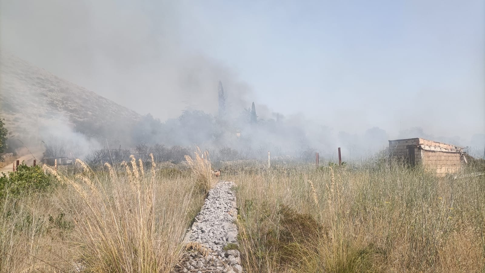Incendi: doppio fronte nel Cilento, fiamme tra Camerota e Lentiscosa e sulle colline di Pollica