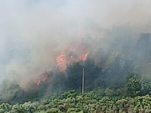 Incendio tra Polla e Pertosa, fumo invade la SS18 e l’A2 del Mediterraneo