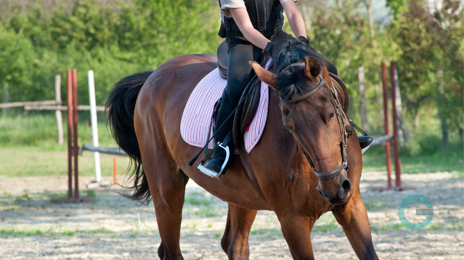 Equitazione, molto più di uno sport: benessere, natura e libertà