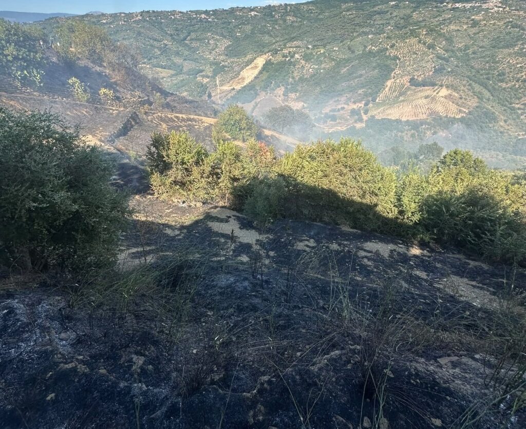 Due incendi a Perdifumo, in fiamme ettari di macchia mediterranea