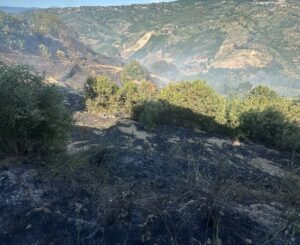 Due incendi a Perdifumo, in fiamme ettari di macchia mediterranea