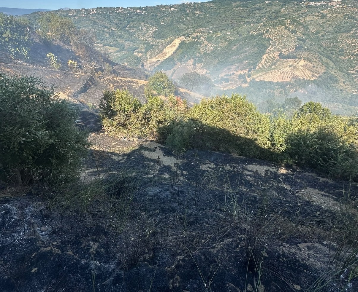 Due incendi a Perdifumo, in fiamme ettari di macchia mediterranea