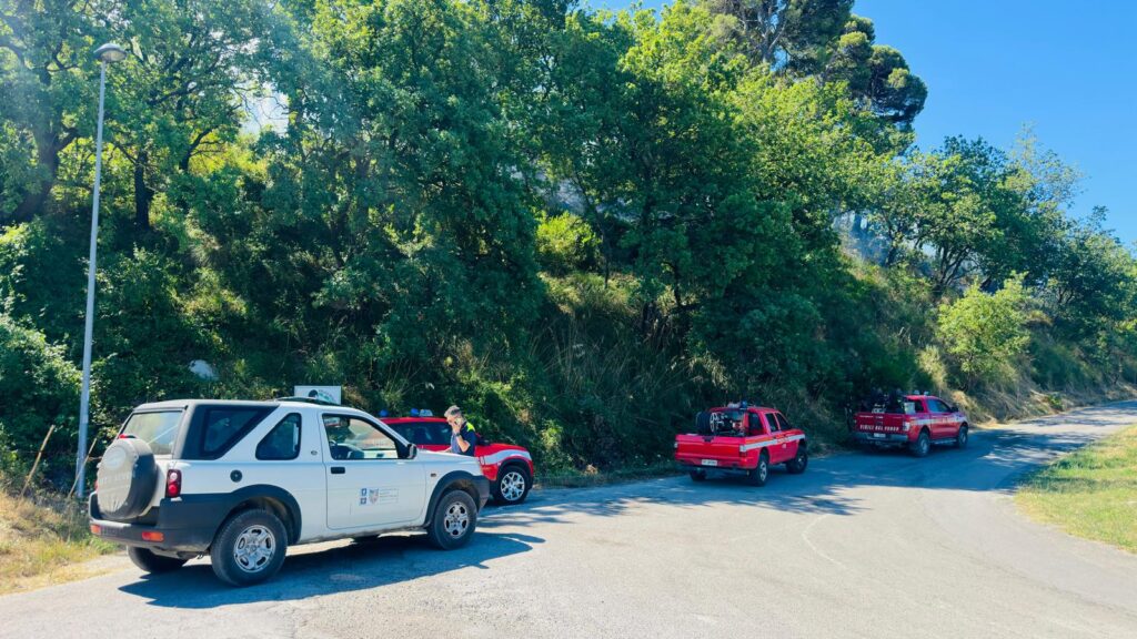 Agropoli, incendio a Moio Alto: distrutti 10 ettari di macchia mediterranea e pineta