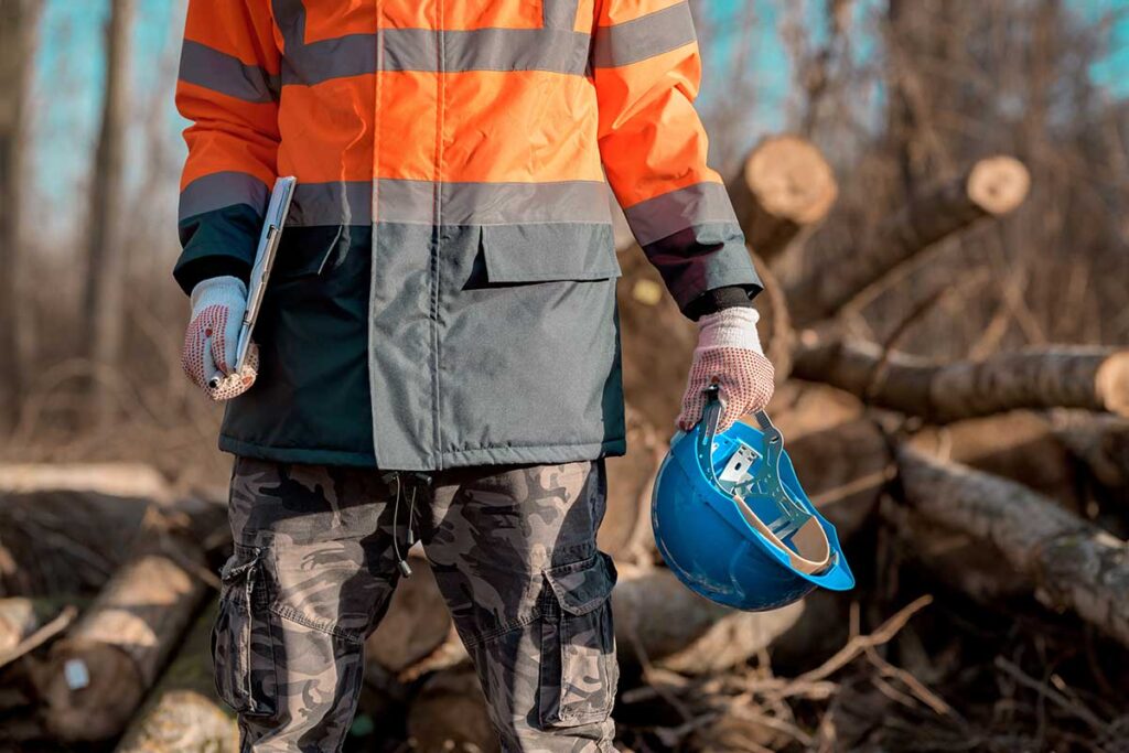 Idraulici forestali nel Basso Cilento: «Formati dalla Regione, ma mai assunti». La denuncia