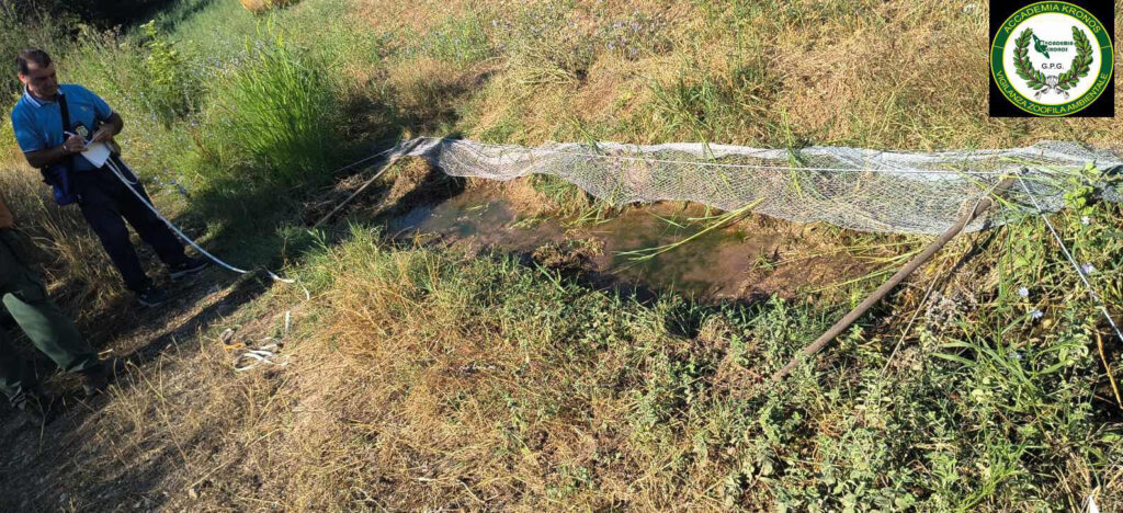 Capaccio Paestum, trappola di 45 metri per catturare cardellini: bracconiere denunciato