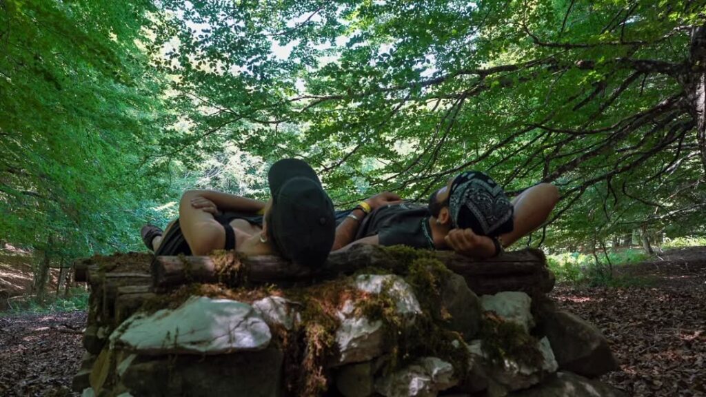 Ottati, torna Silvae Fragmenta: dal 28 luglio al 7 agosto la quarta edizione della residenza di Land Art