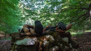 Ottati, torna Silvae Fragmenta: dal 28 luglio al 7 agosto la quarta edizione della residenza di Land Art