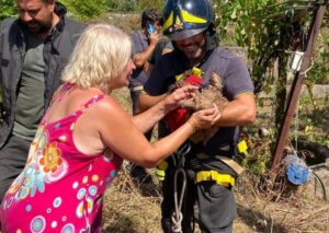Cane cade in un pozzo a Policastro, salvato dai Vigili del Fuoco