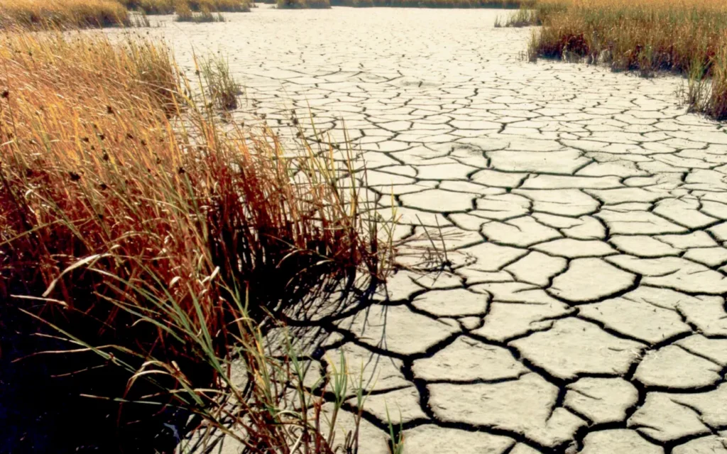 Siccità, dalla Regione Campania più gasolio agricolo agevolato per aziende e allevamenti
