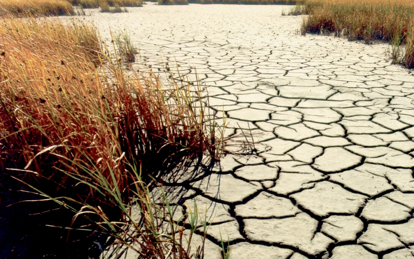 Siccità, dalla Regione Campania più gasolio agricolo agevolato per aziende e allevamenti