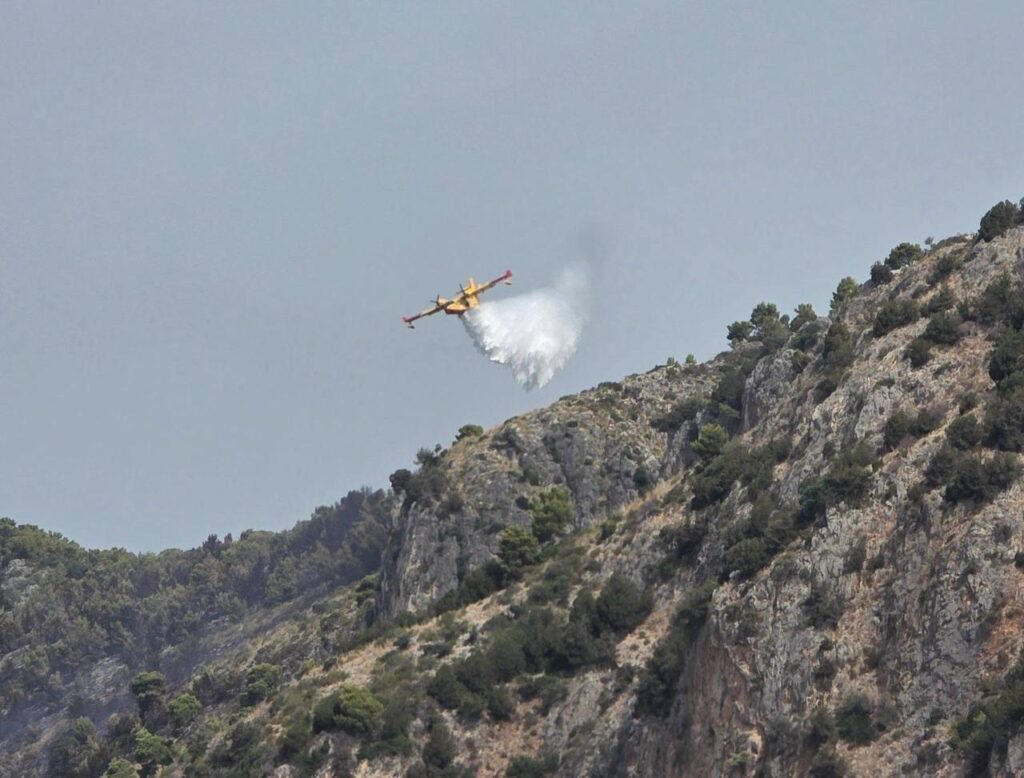 Incendio devasta la Pineta di Marina di Camerota, il sindaco: “Probabile atto doloso”