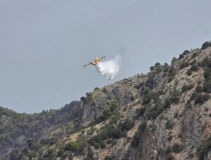Incendio devasta la Pineta di Marina di Camerota, il sindaco: “Probabile atto doloso”