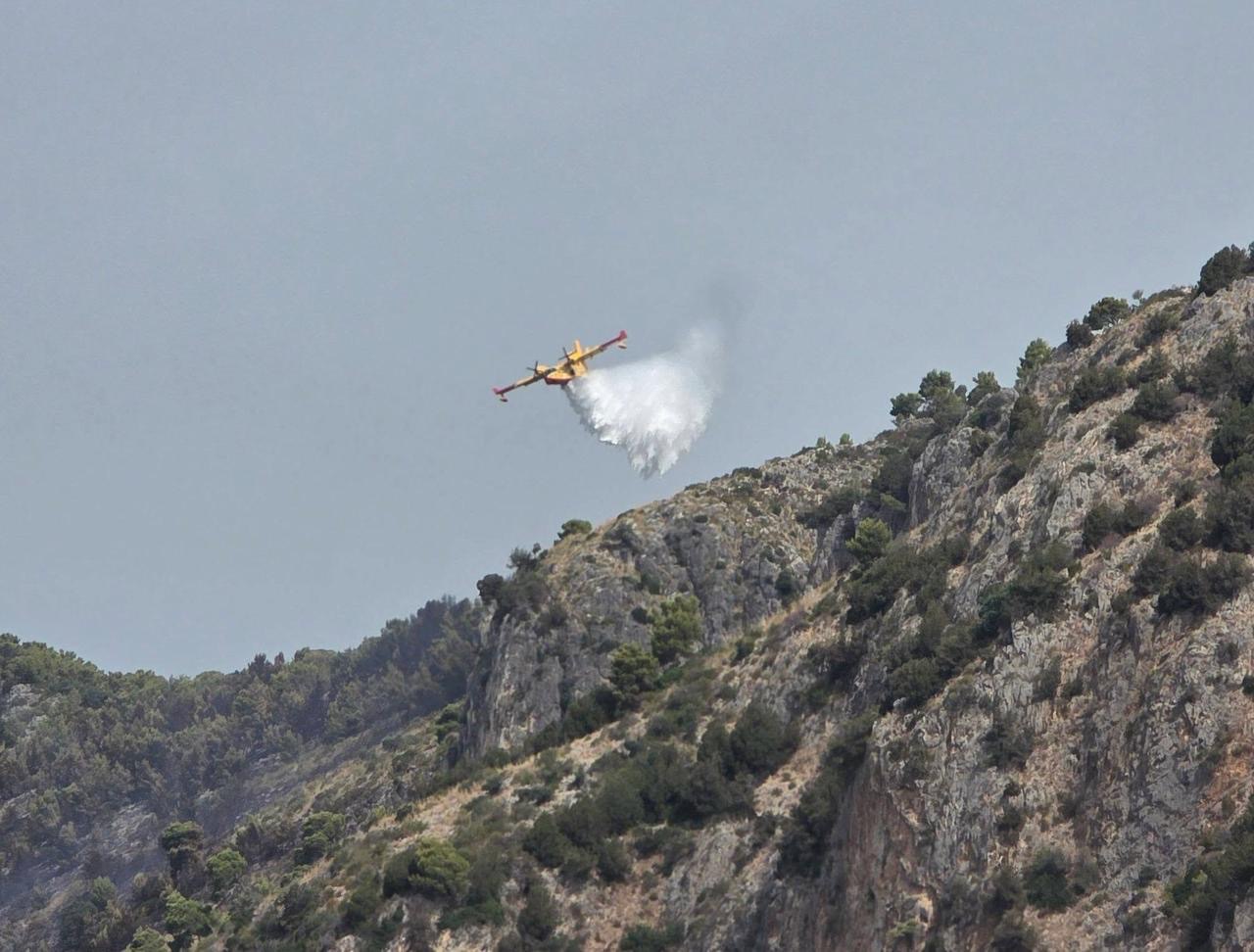 Incendio devasta la Pineta di Marina di Camerota, il sindaco: “Probabile atto doloso”